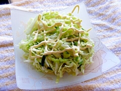 キャベツサラダ（海苔佃煮＆マヨネーズドレッシング）